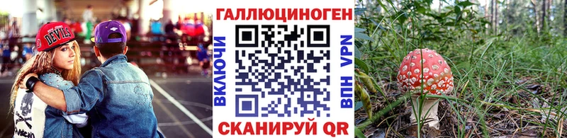Псилоцибиновые грибы мицелий гидра как войти Борзя