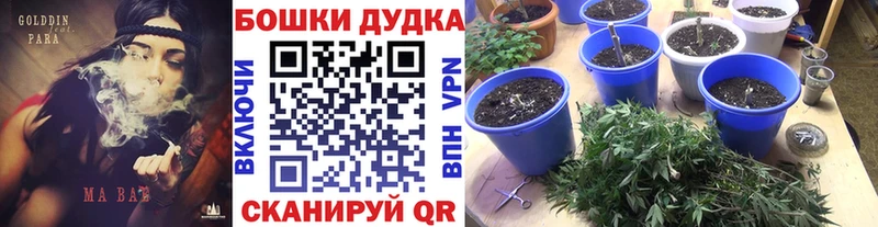купить закладку  МЕГА зеркало  Марихуана марихуана  Борзя 